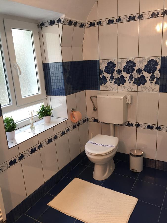 Xenopol Grand Studio Apartman Nagyszeben Kültér fotó